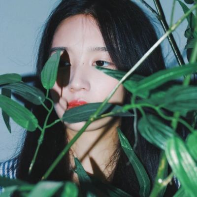 游客