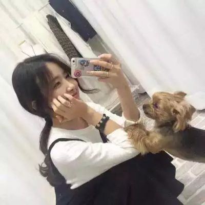 游客